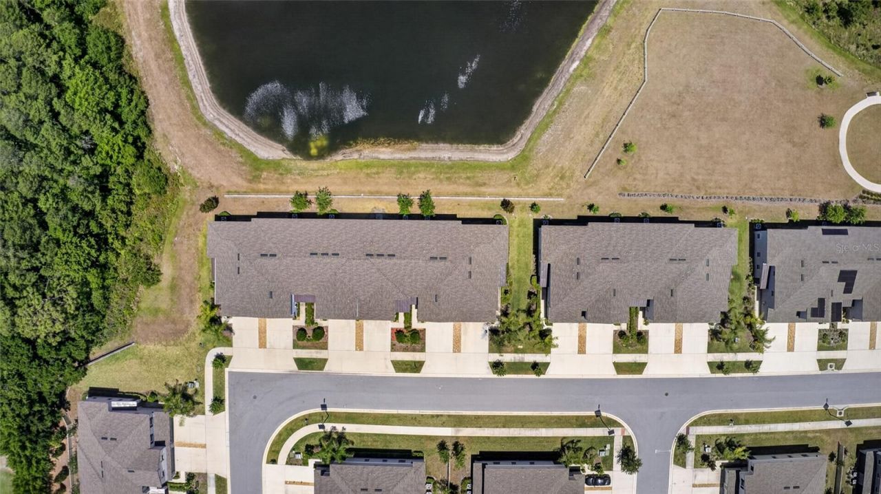 2213 Cerulean Sky Drive , Lutz, FL 33558 Photo