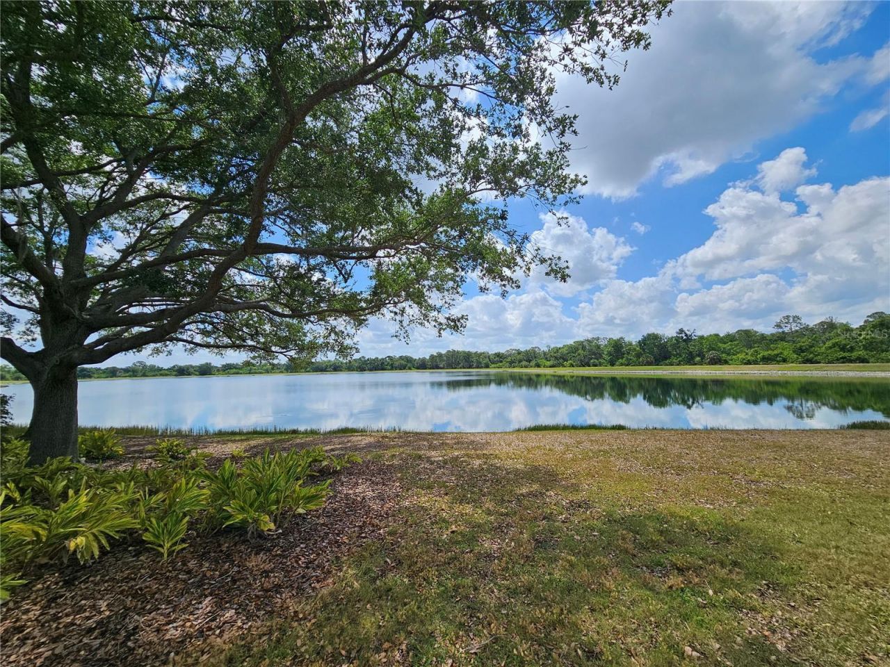 12250 Hollybush Terrace, Lakewood Ranch, FL 34202 Photo