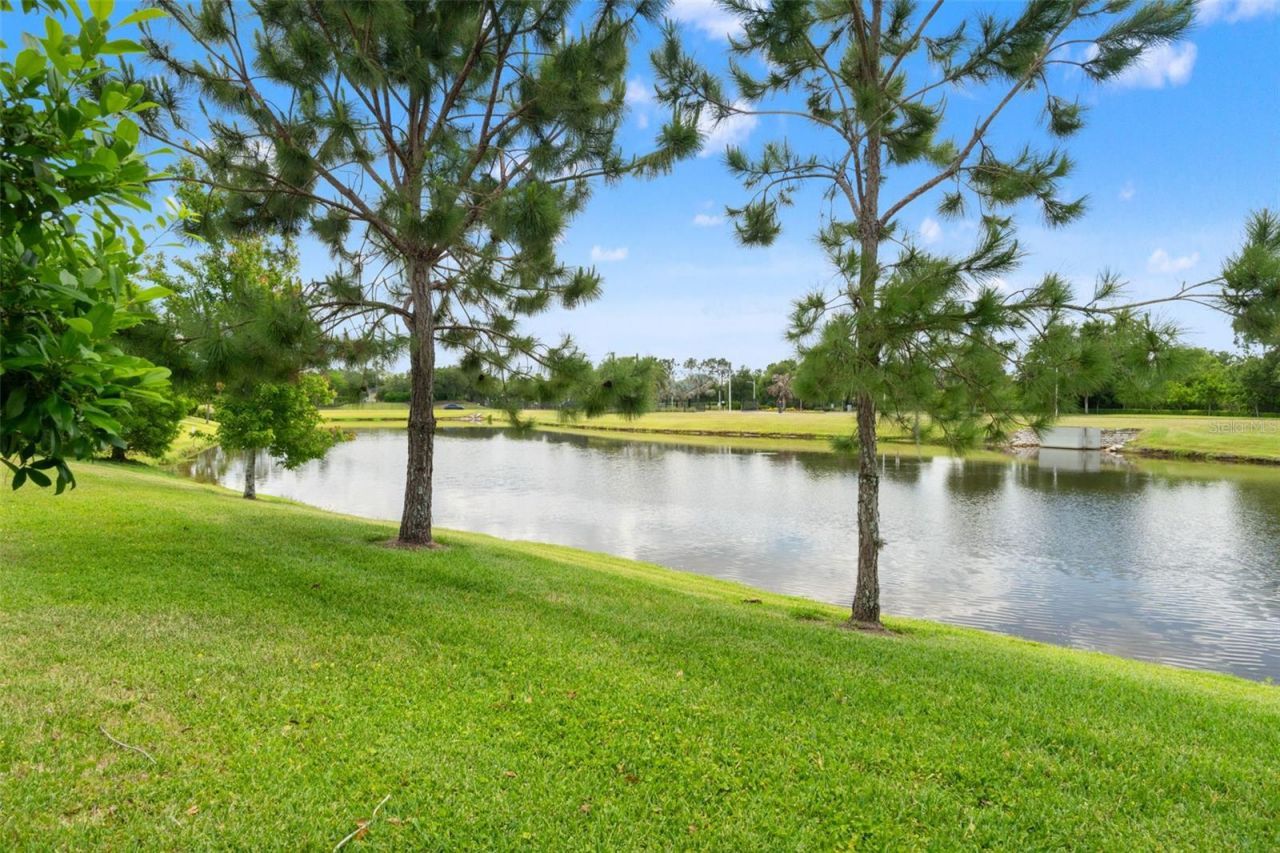 7278 Pool Compass Loop, Wesley Chapel, FL 33545 Photo