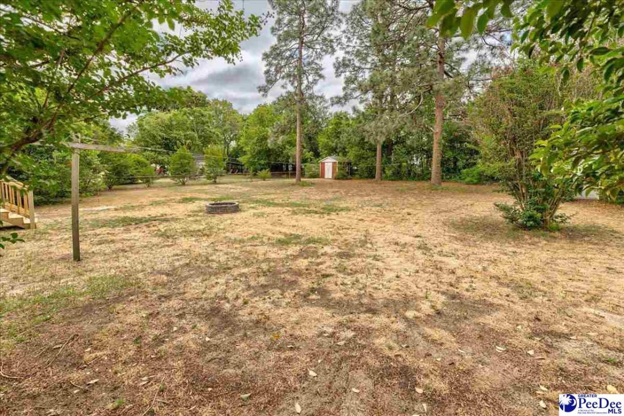 1007 Greenleaf Road Photo 21