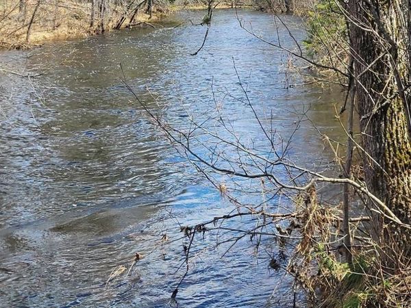 Lot #6 Northwoods Lane, Breen Twp, MI 49834