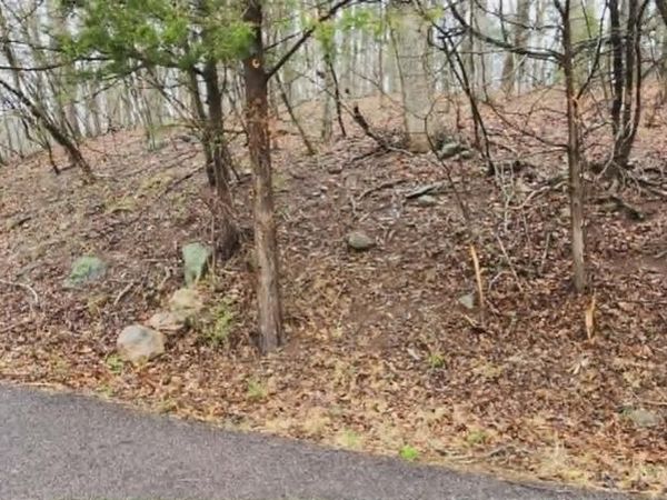 1020 Lancaster Way, Marthasville, MO 63357