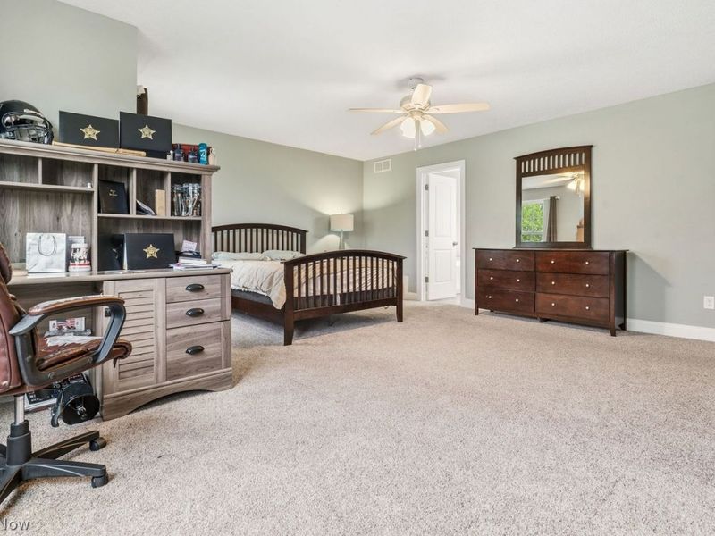 3204 Parks Avenue, Louisville, OH 44641 Photo 29