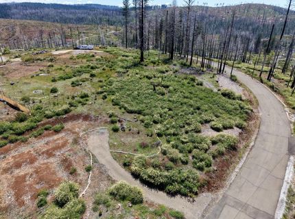 4929 Edgewood Cir, Grizzly Flats, CA 95636 Photo