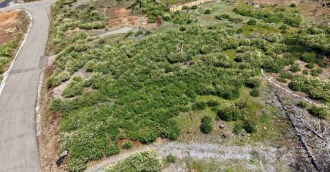 4929 Edgewood Cir, Grizzly Flats, CA 95636 Photo