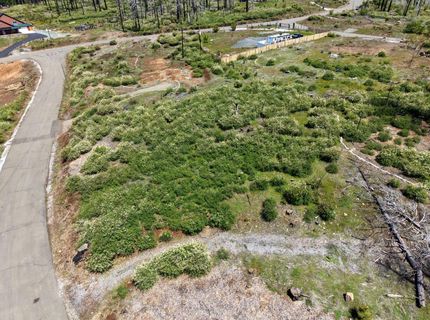 4929 Edgewood Cir, Grizzly Flats, CA 95636 Photo