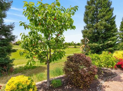 1986 Deep Springs Ln, Lincoln, CA 95648 Photo