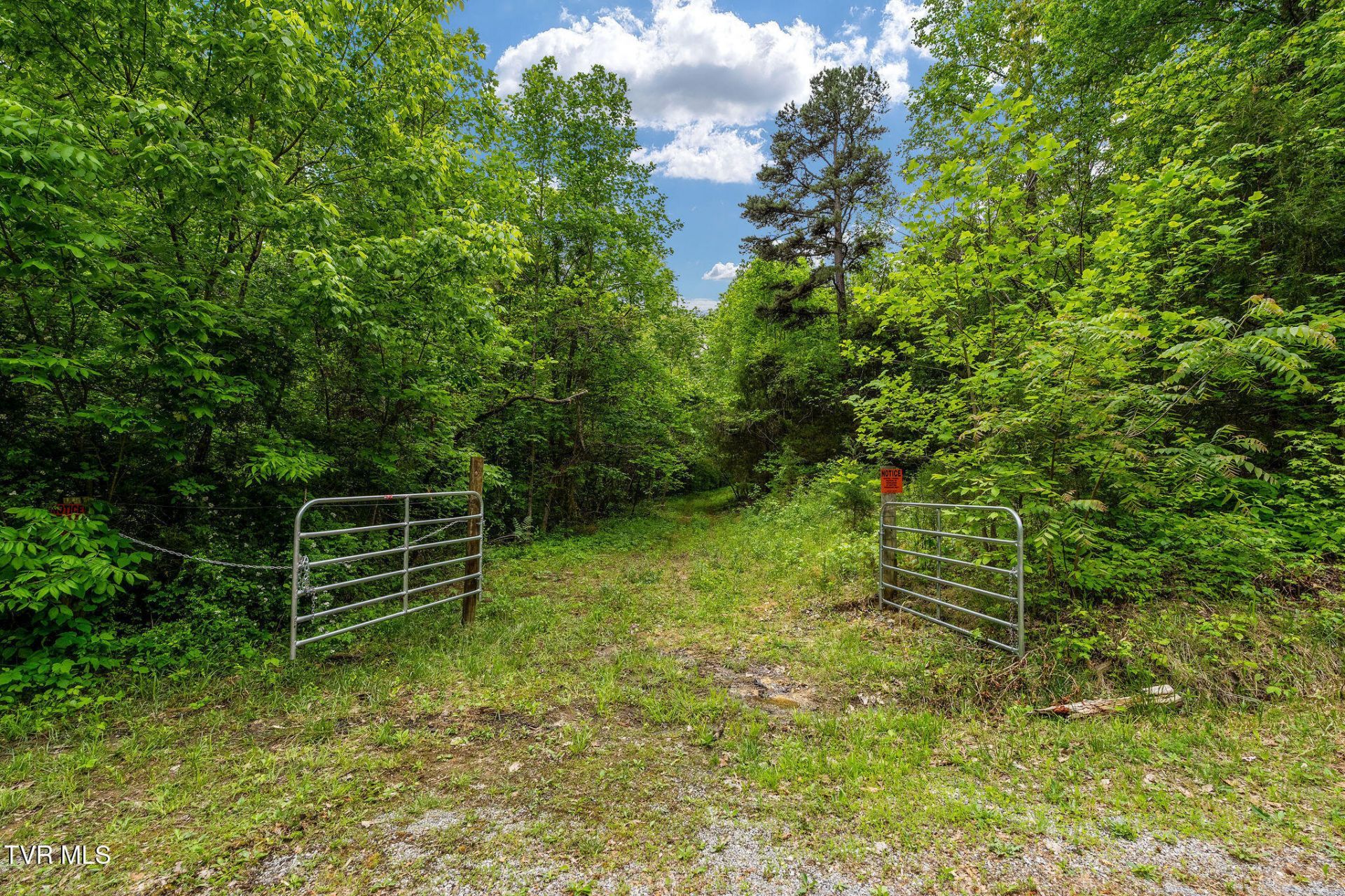 Tbd Wattenbarger Gap Road, Greeneville, TN 37745 Main Photo