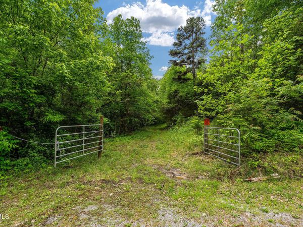 Tbd Wattenbarger Gap Road, Greeneville, TN 37745