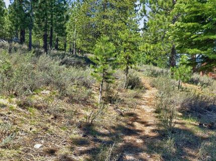 11429 Dolomite Way, Truckee, CA 96161 Photo