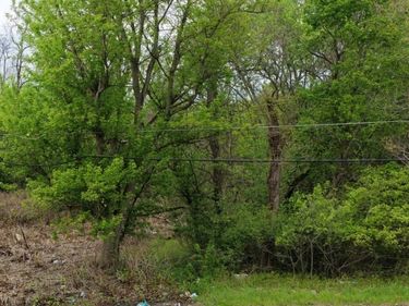 0 Montgomery Avenue, Campbell, OH 44506