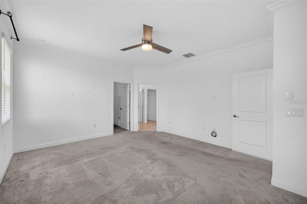 5513 Little Path Drive , Wimauma, FL 33598 Photo