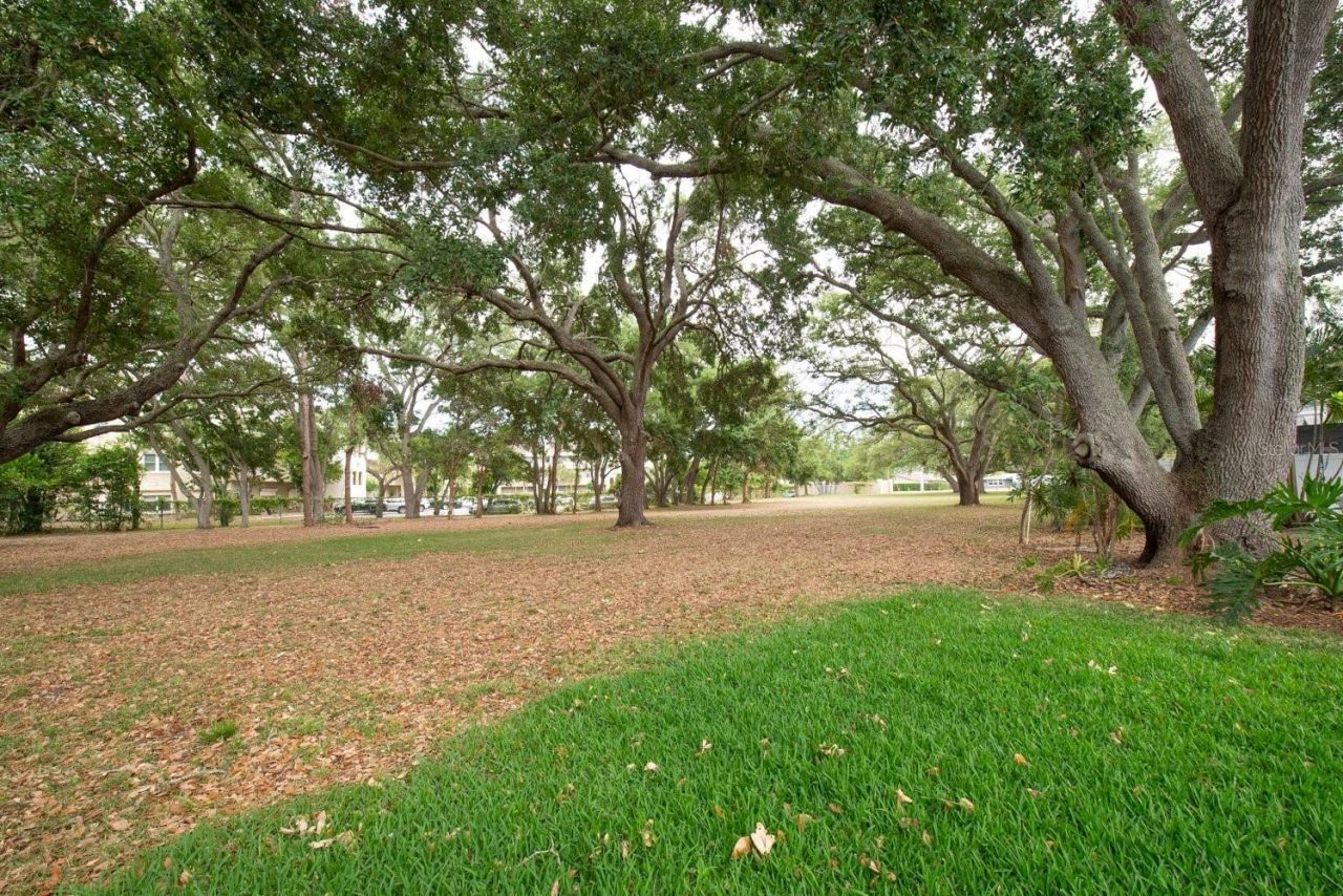 2017 Kamensky Road, Clearwater, FL 33763 Photo
