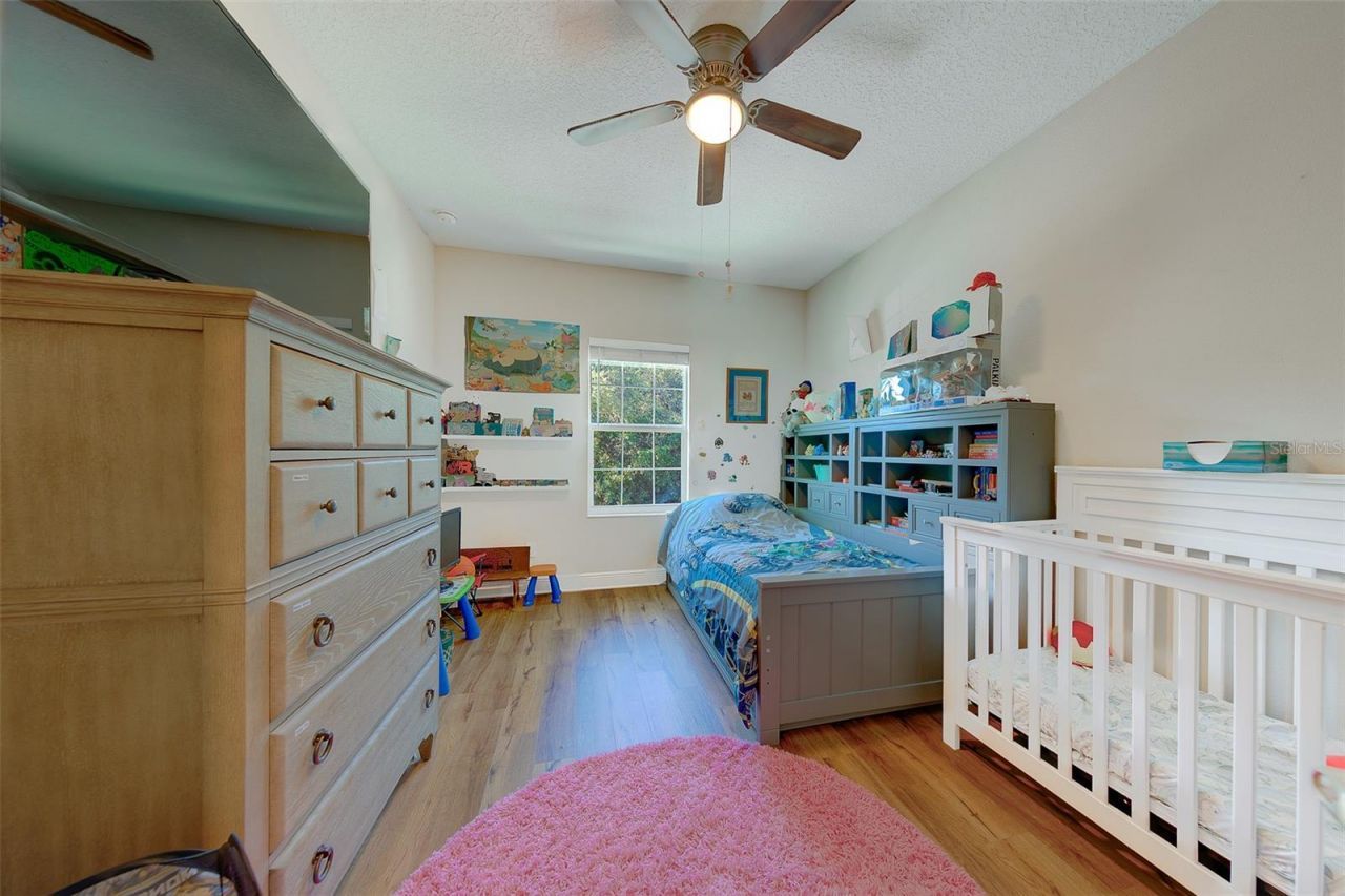 7405 70th Avenue N, Pinellas Park, FL 33781 Photo