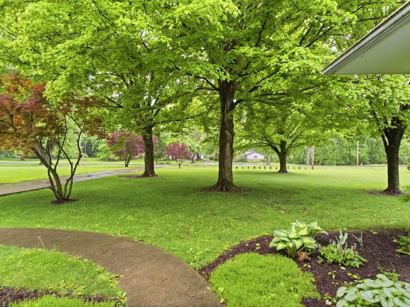 5600 Shannon Road, Canal Winchester, OH 43110 Photo 41