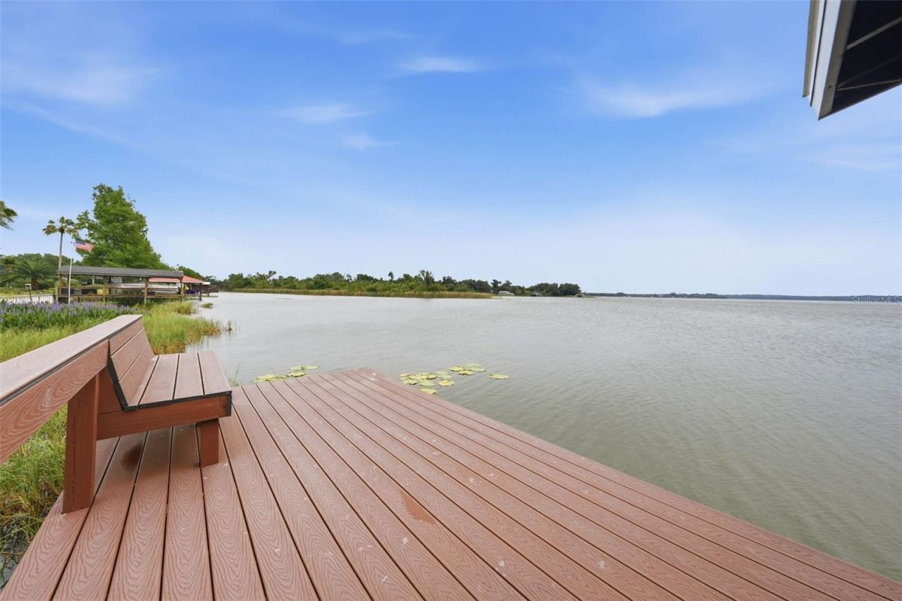 29116 Beauclaire Drive, Tavares, FL 32778 Photo