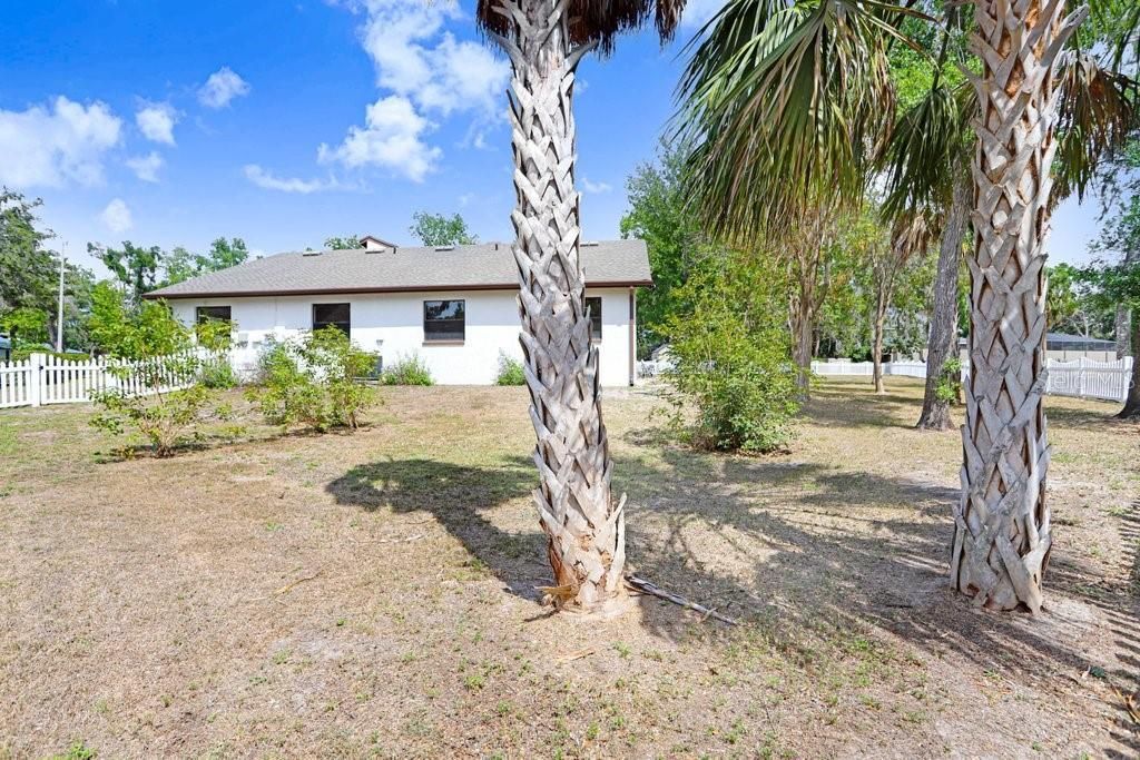 4705 Fernstone Court, Brandon, FL 33511 Photo