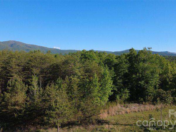 431 Ridge Point Road, Nebo, NC 28761