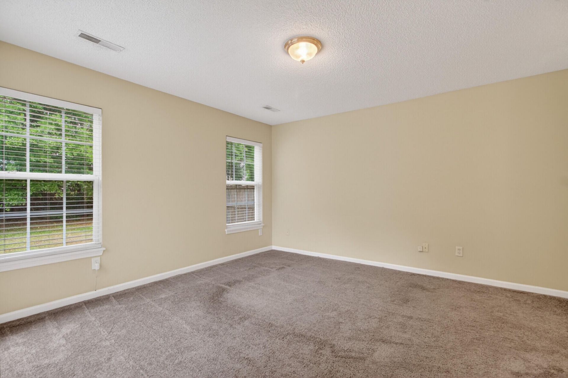 128 Savannah River Drive Photo 27