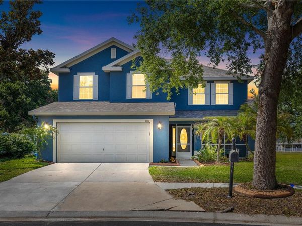 11114 GOLDENROD FERN DRIVE, RIVERVIEW, FL 33569