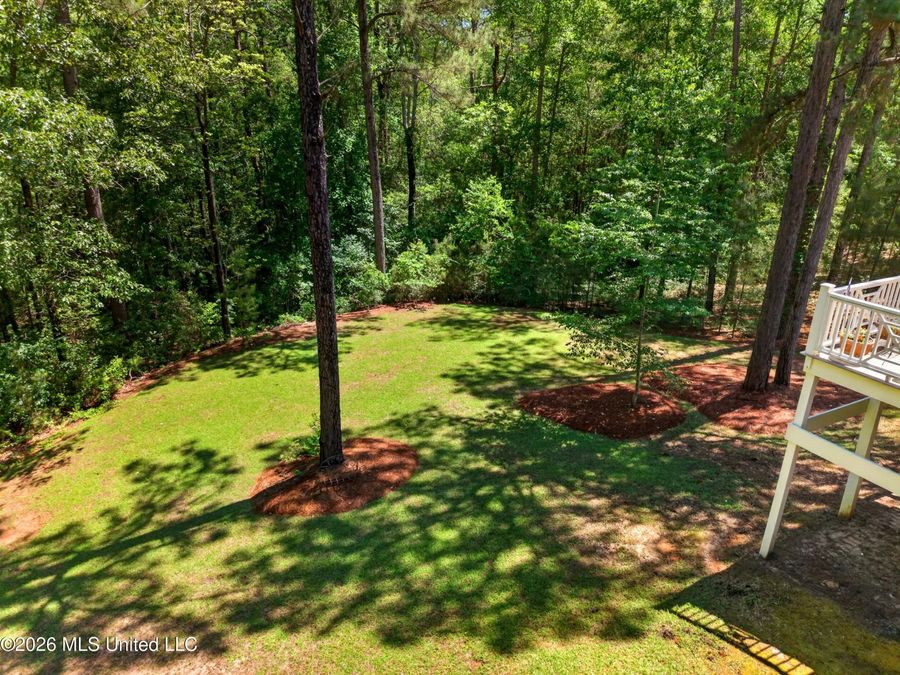 Property Image 74