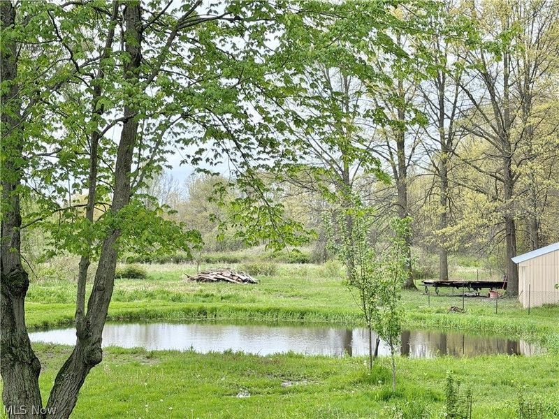 3948 Carson Salt Springs Road, Newton Falls, OH 44444 Photo 3