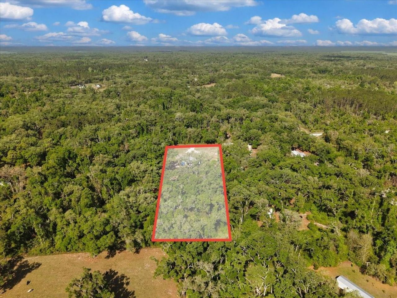 Please Call For Address, Old Town, FL 32680 Photo