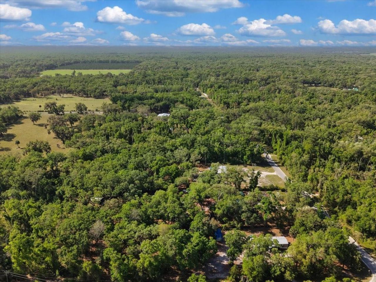 Please Call For Address, Old Town, FL 32680 Photo