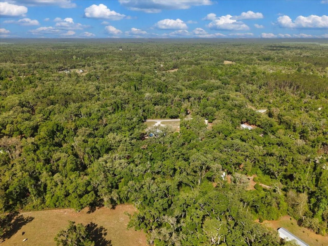 Please Call For Address, Old Town, FL 32680 Photo