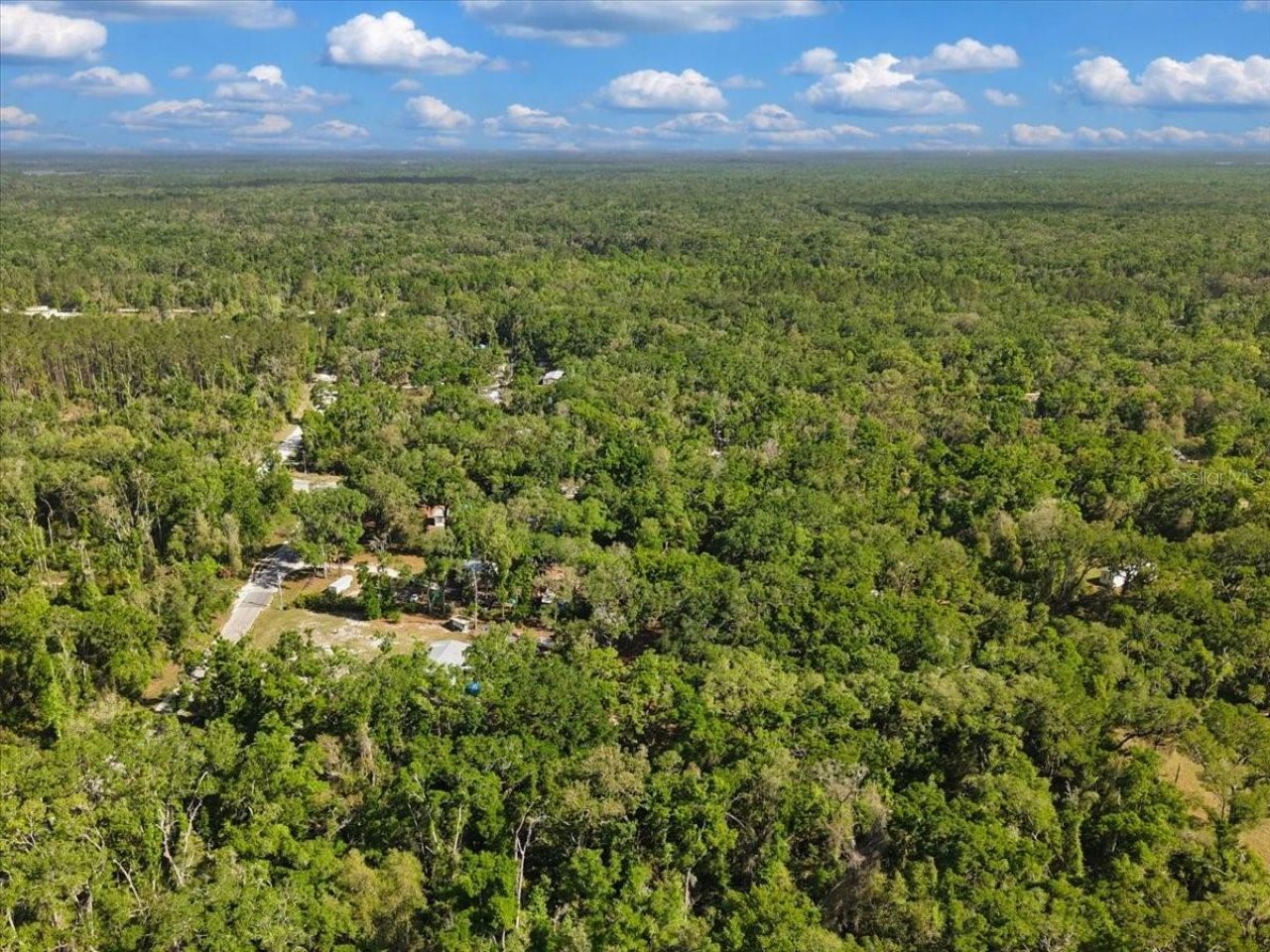 Please Call For Address, Old Town, FL 32680 Photo