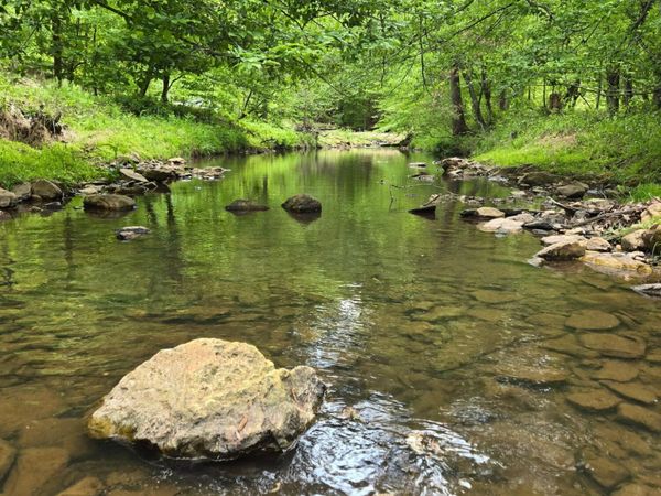 0 Webster RD , Glade Hill, VA 24092