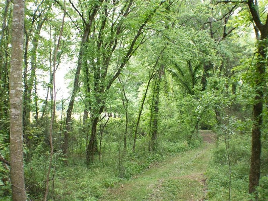Property Image 133
