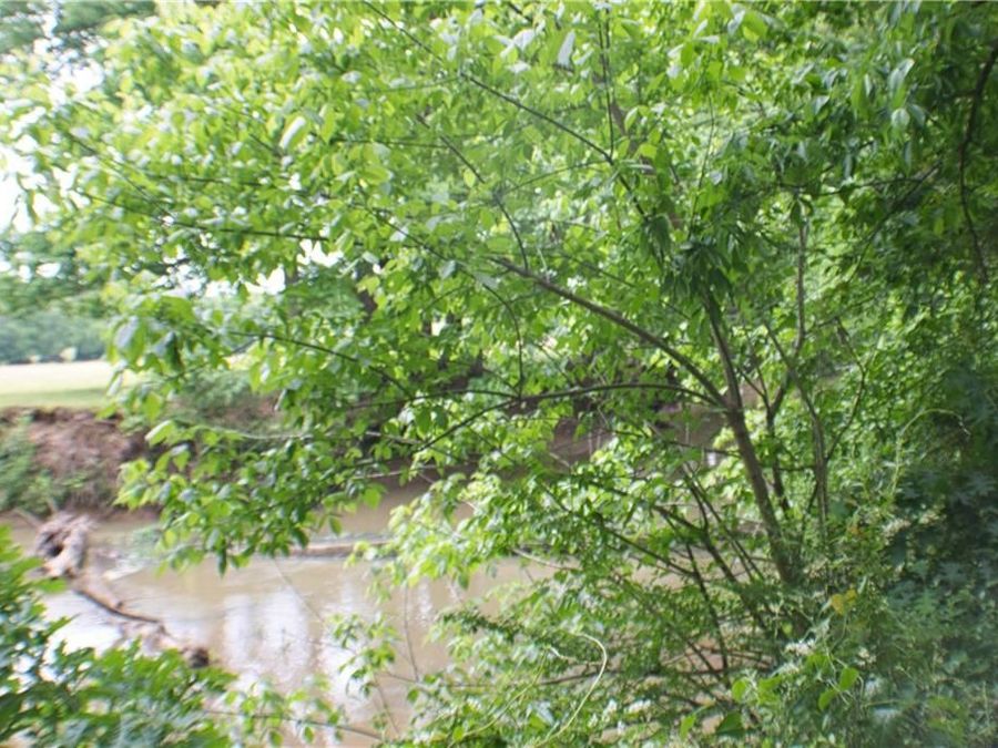 Property Image 136