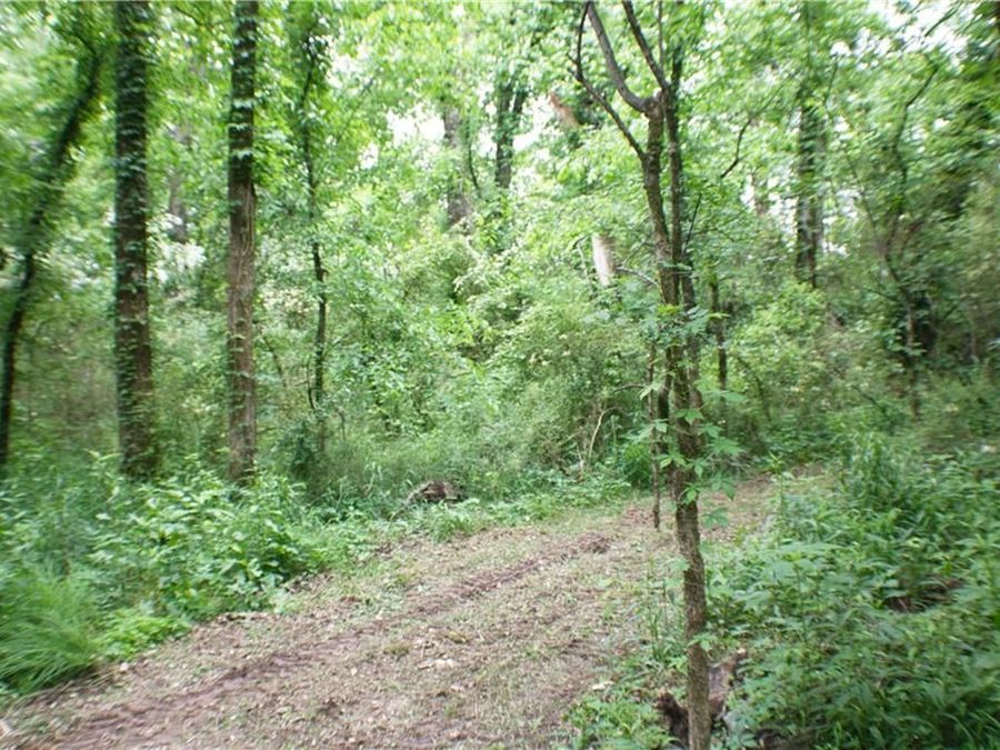 Property Image 144