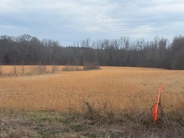 0 PINE TOP RD, Toone, TN 38381