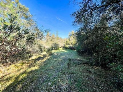 3040 Wolverine Ct, El Dorado, CA 95623 Photo