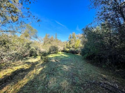 3040 Wolverine Ct, El Dorado, CA 95623 Photo