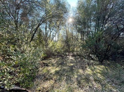 3040 Wolverine Ct, El Dorado, CA 95623 Photo