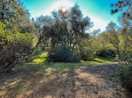 3040 Wolverine Ct, El Dorado, CA 95623 Photo