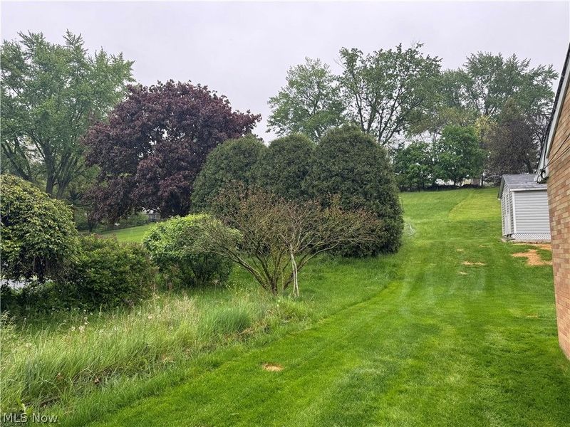 5606 Chandler Avenue NW, North Canton, OH 44720 Photo 6