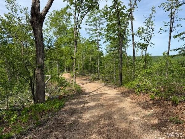 TBD County Road 305A , Eminence, MO 65466