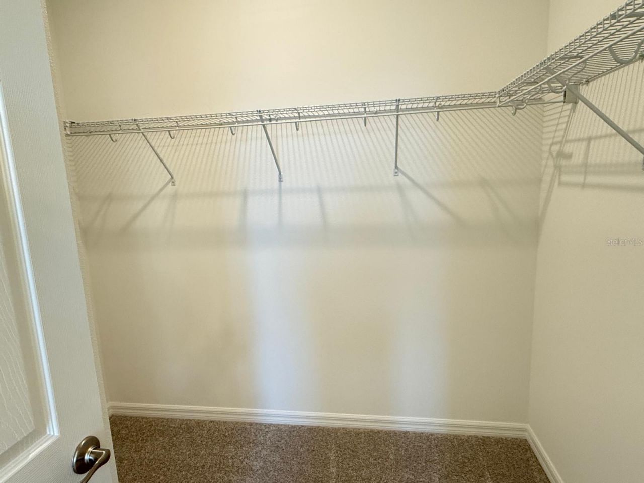 498 Winsome Alley, Groveland, FL 34736 Photo