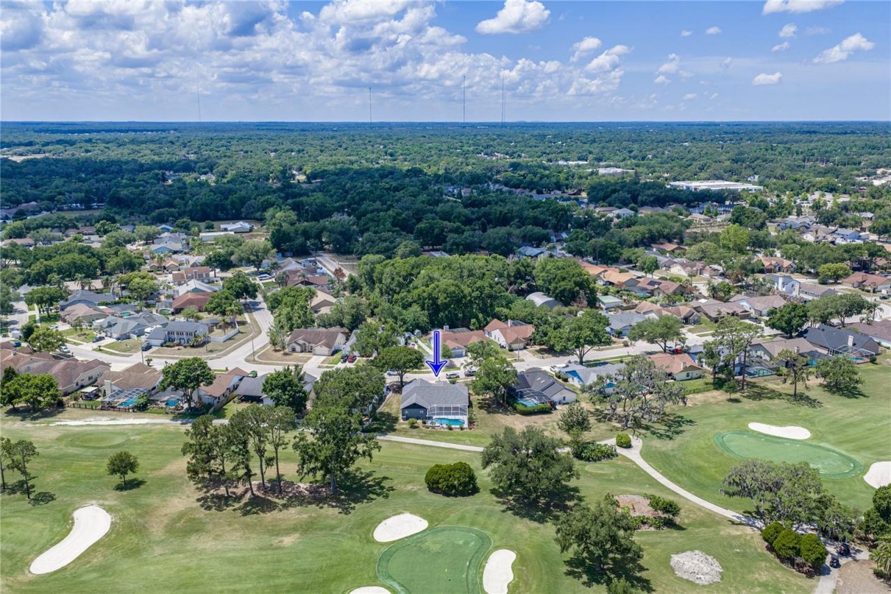 2624 Crestfield Drive, Valrico, FL 33596 Photo
