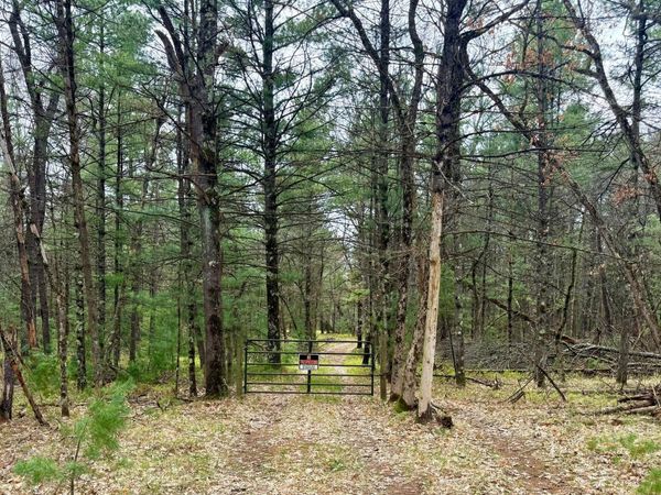 5858 W Wingleton Road, Baldwin, MI 49304