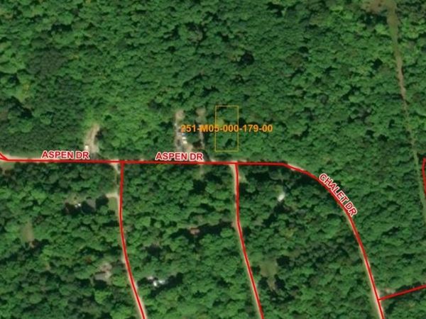 2246 Aspen Drive, Wolverine, MI 49799