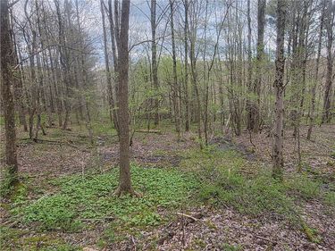 Clarence Church Road, South Otselic, NY 13155