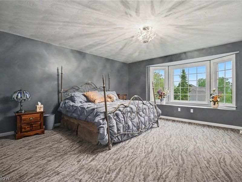 170 Oak Tree Drive, Canfield, OH 44406 Photo 26