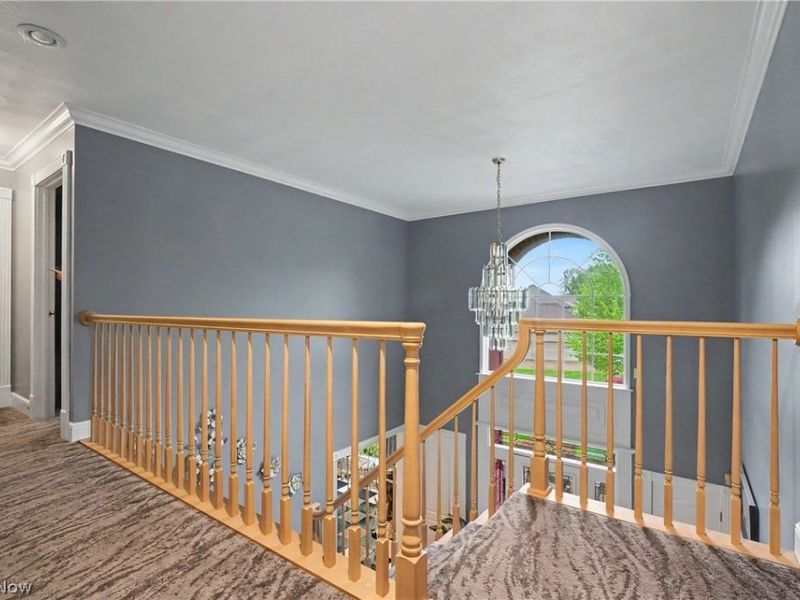 170 Oak Tree Drive, Canfield, OH 44406 Photo 32
