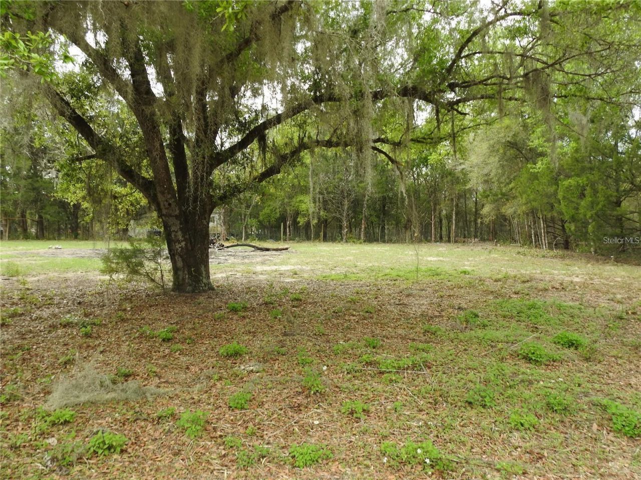 103 George Drive, Interlachen, FL 32148 Photo