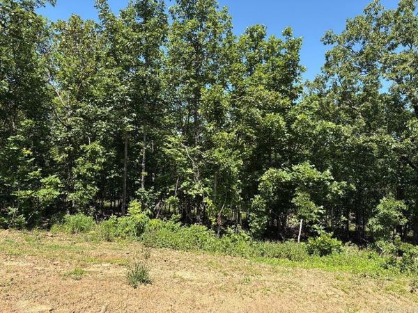 Lot 54 7 Lakes Ranch Estates, Conway, AR 72032